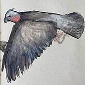 My project for course: From Botanical Drawings to Narrative Illustration. Traditional illustration, Drawing, Botanical Illustration, Narrative, and Naturalistic Illustration project by Pina Carrubba - 05.09.2024