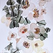 Mi proyecto del curso: Acuarela floral: conecta con la naturaleza. Traditional illustration, Painting, Watercolor Painting, Botanical Illustration, and Design project by PALOMA BALAGUER - 05.28.2024