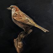 My project for course: Classical Oil Painting for Naturalist Bird Portraiture. Fine Arts, Painting, Oil Painting, and Naturalistic Illustration project by Jessica George - 05.28.2024