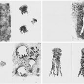 Mi proyecto del curso: Ilustración de animales con carboncillo y tinta. Un progetto di Belle arti, Disegno, Illustrazione con inchiostro e Illustrazione naturalistica di marcmarc - 28.05.2024