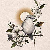  Ilustración naturalista con bolígrafo. Traditional illustration, Drawing, Realistic Drawing, and Naturalistic Illustration project by tanniahw - 04.08.2024