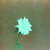 Mi proyecto del curso: Introducción al community management . % Agustina Fernandez tarafından hazırlanan Sos, al Med, a, Dijital Pazarlama, İçerik Pazarlaması, Facebook Pazarlama & Instagram Pazarlaması projesi - 05.28.2024