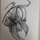 Il mio progetto del corso: Illustrazione su sketchbook con penna: sbaglia con stile. Un proyecto de Bocetado, Dibujo, Sketchbook e Ilustración con tinta de valentina_mascaro - 29.05.2024