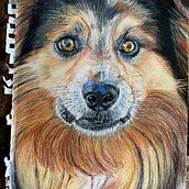 Mi proyecto del curso: Retratos de Mascotas en Lápices de Colores. Traditional illustration, and Naturalistic Illustration project by lauraruli029 - 05.30.2024