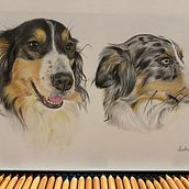 Il mio progetto del corso: Ritratto di animali da compagnia con matite colorate. Drawing project by Martina Ciampi - 05.30.2024
