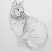 Mi proyecto del curso: Dibujo expresivo con carboncillo. Fine Arts, Drawing, Portrait Drawing, and Naturalistic Illustration project by yvette_ortutre - 05.27.2024
