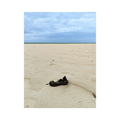 My project for course: Travel Photography with Mobile Phone for Beginners. Mobile Photograph, Outdoor Photograph, Instagram Photograph, and Photograph project by Bruna Felice - 05.30.2024