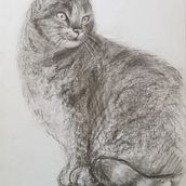 My project for course: Expressive Drawing with Charcoal. Fine Arts, Drawing, Portrait Drawing, and Naturalistic Illustration project by nyuma_misa - 05.31.2024
