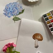 My project for course: Botanical Watercolor Illustration: Cross-hatching Technique. Un progetto di Belle arti, Pittura, Pittura ad acquerello e Illustrazione botanica di Kateryna Koiliak - 30.05.2024