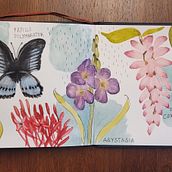 Mein Abschlussprojekt für den Kurs: Naturalistisches Tagebuch mit Wasserfarben. Projekt z dziedziny Trad, c, jna ilustracja, Malowanie akwarelą, R, sunek botaniczn, Sketchbook, Ilustracja naturalist i czna użytkownika Kerstin - 31.05.2024