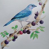 Meu projeto do curso: Pintura em aquarela: arte de aves e fauna naturalista. Fine Arts, Drawing, Watercolor Painting, Realistic Drawing, Naturalistic Illustration, and Pencil Drawing project by San Tiemi - 06.02.2024