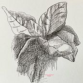 Mon projet du cours : Carnet de croquis : illustrez vos expériences personnelles. Traditional illustration, Sketching, Drawing, Sketchbook & Ink Illustration project by christiane.ravallec - 06.02.2024