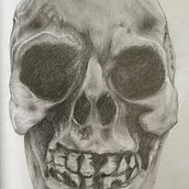 My project for course: Intro to Anatomy Drawing with Graphite Pencil. Fine Arts, Pencil Drawing, Drawing, Realistic Drawing, and Figure Drawing project by Pauline McKee - 06.02.2024
