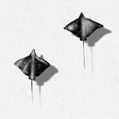 Mój projekt z kursu: Projektowanie i ilustrowanie tatuaży cyfrowych za pomocą programu Procreate. Traditional illustration, Graphic Design, Digital Illustration, Tattoo Design, Digital Drawing, and Design project by dadajamajka - 06.02.2024