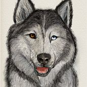 Mój projekt z kursu: Naturalistyczne ilustracje zwierząt w programie Procreate. Ilustração tradicional, Ilustração digital, Desenho realista e Ilustração naturalista projeto de Dorota Korcz - 02.06.2024