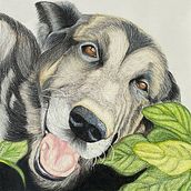 YAGUER. Un progetto di Disegno di Diana Rangel - 01.06.2024