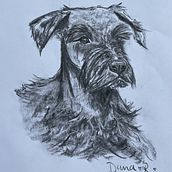 Mi proyecto del curso: Ilustración de animales con carboncillo y tinta. Fine Arts, Drawing, Ink Illustration, and Naturalistic Illustration project by Dana Román - 06.02.2024