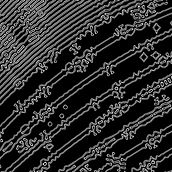 Bodyfraction. Film, Video, TV, and 3D project by Suncana Kuljis-Gaillot - 06.03.2024