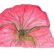 My project for course: Illustrating Nature with Watercolor and Pen. Projekt z dziedziny Trad, c, jna ilustracja,  Malarstwo,  R, sunek, Malowanie akwarelą, R i sunek botaniczn użytkownika Sara Meade - 04.06.2024