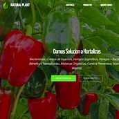 (web) Naturalplant.cl. Design, Web Design, Web Development, and UX / UI project by José Zappata - 06.04.2024