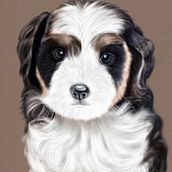 Puppy . Ilustração digital, e Desenho digital projeto de Dorota Korcz - 04.06.2024