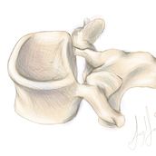 Mi proyecto del curso: Dibujo anatómico con lápiz de grafito para principiantes. Un progetto di Belle arti, Disegno a matita, Disegno, Disegno realistico e Disegno anatomico di Yazmín García - 05.06.2024