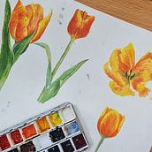 Botanical Illustration with Watercolors - Tulip. Un progetto di Illustrazione tradizionale, Belle arti, Pittura, Disegno, Pittura ad acquerello e Illustrazione botanica di Cam Choe - 06.06.2024