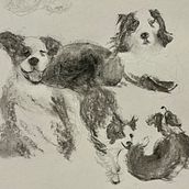My project for course: Animal Illustration with Charcoal and Ink. Un progetto di Belle arti, Disegno, Illustrazione con inchiostro e Illustrazione naturalistica di TJ - 06.06.2024