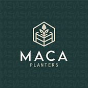 Mi proyecto del curso: Diseño de identidad MACA PLANTERS. Design, Br, ing, Identit, Graphic Design, Logo Design, T, pograph, and Design project by gustavoparradg - 06.04.2024