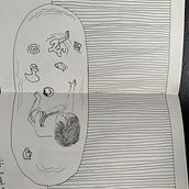 My project for course: Illustrated Diary: Fill Your Sketchbook with Experiences. Traditional illustration, Sketching, Drawing, Sketchbook & Ink Illustration project by olena_kummer - 06.08.2024