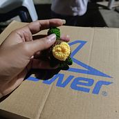 Tortuga  Ein Projekt aus dem Bereich Crochet von litoral_pendragon - 09.06.2024