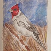 Meu projeto do curso: Ilustração da natureza: aquarela em positivo e negativo Ein Projekt aus dem Bereich Traditionelle Illustration, Bildende Künste, Malerei, Zeichnung, Aquarellmalerei, Botanische Illustration und Naturalistische Illustration von Pedro Costa - 09.06.2024