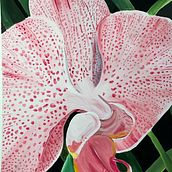 Meu projeto do curso: Pintura botânica com acrílico. Traditional illustration, Fine Arts, Painting, Acr, lic Painting, and Botanical Illustration project by Lara Cardillo Roriz Fernandez - 06.11.2024