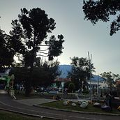 FUNDEAMOR AG. Un projet de Conception numérique, Webdesign, Illustration traditionnelle , et Publicité de lauracristinaarcila - 04.06.2024