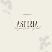 | Asteria: Propuesta de Estilismo de moda |. Un projet de Design , St , et lisme de Urania Cordova - 11.06.2024