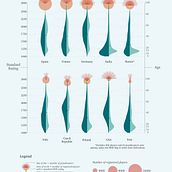 My project for course: Creative Data Visualization for Narrative Designs. Graphic Design, Information Design, Interactive Design & Infographics project by jmoore_tn - 06.12.2024