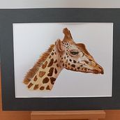 My project for course: Watercolor Illustration: Painting Realistic Wildlife. Fine Arts, Painting, Watercolor Painting, and Naturalistic Illustration project by jutta_atkinson - 06.14.2024