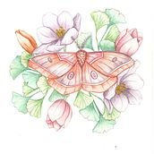 Mi proyecto del curso: Dibujo y composición naturalista en acuarela. Traditional illustration, Drawing, Watercolor Painting, and Naturalistic Illustration project by Sandra Milena - 06.14.2024
