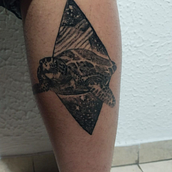 Mi proyecto del curso: Técnicas de tatuaje blackwork con línea fina. Tattoo Design project by alucarddevil91 - 06.12.2024