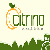 Mi proyecto del curso: Diseño de identidad visual simple y efectiva. Un progetto di Design, Br, ing, Br, identit, Graphic design, Design di loghi e Design tipografico di Breyner Javier Contreras Rosales - 12.06.2024