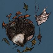 A Little Book of Hedgehog magic - mock up. Design, Character Design, Arts, Crafts, Fine Arts, Graphic Design, Writing, Creativit, Sketching, Stor, telling, and Fiction Writing project by siobhan_henegan - 04.30.2024