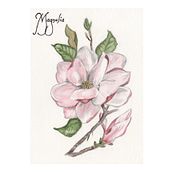 Il mio progetto del corso: Illustrazione botanica con acquerello Ein Projekt aus dem Bereich Traditionelle Illustration, Bildende Künste, Malerei, Zeichnung, Aquarellmalerei und Botanische Illustration von giovanna_forteleoni - 16.06.2024