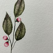My project for course: Botanical Illustration with Watercolors. Een project van Traditionele illustratie,  Beeldende kunst, Schilderij,  Tekening, Aquarelschilderen y  Botanische illustratie van Fernanda Cizescki - 17.06.2024