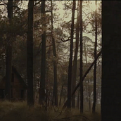 Wood Cabin. 3D, Architecture, Film, and VFX project by Alexis Fiz - 01.01.2015