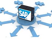 Can SAP ERP Solutions Boost Your Business Growth?. IT project by Adele Noble - 06.17.2024