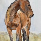 My project for course: Expressive Animal Portraits in Watercolor. Traditional illustration, Watercolor Painting, Realistic Drawing, and Naturalistic Illustration project by Lois Garrett - 06.17.2024