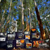 My project for course: Digital Collage in Photoshop: Composition and Visual Effects. Een project van Fotografie, Collage, Retoucheren van foto's, Artistieke fotografie, Fotografische compositie y Fotomontage van Daria Antonescu - 18.06.2024