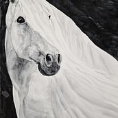 My project for course: Expressive Animal Portraits in Watercolor. Ilustração tradicional, Desenho realista e Ilustração naturalista projeto de Tetyana Burlin - 18.06.2024