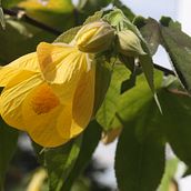 El color de la vida. Un progetto di Fotografia di Kashi Films - 28.09.2023