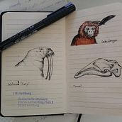 My project for course: Daily Sketching for Creative Inspiration. Traditional illustration, Sketching, Creativit, Drawing, and Sketchbook project by rlvbr - 06.19.2024
